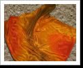 Klicken Sie auf das Bild, um es zu vergrößern
