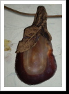 Klicken Sie auf das Bild, um es zu vergrößern
